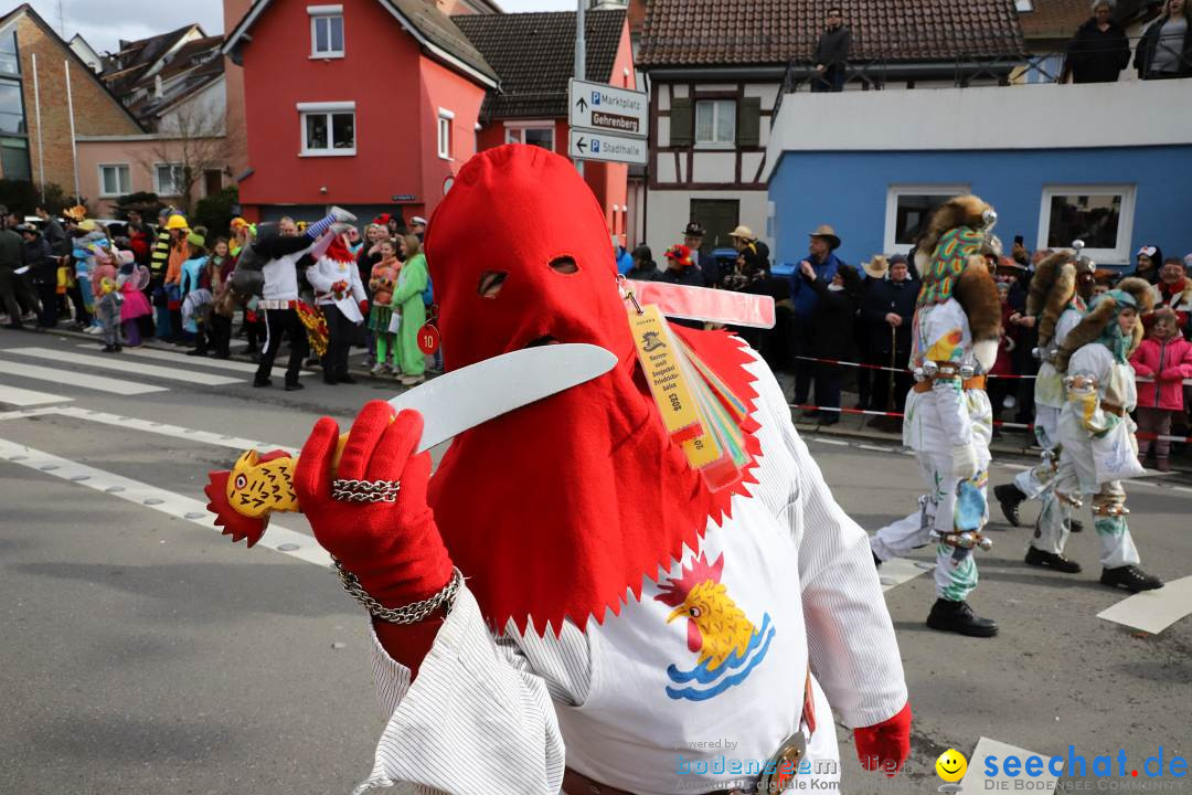 Narrenumzug: Markdorf am Bodensee, 11.02.2024