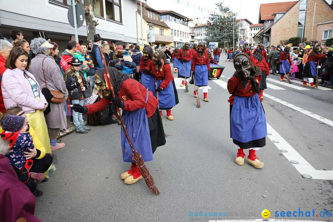 Narrenumzug: Markdorf am Bodensee, 11.02.2024