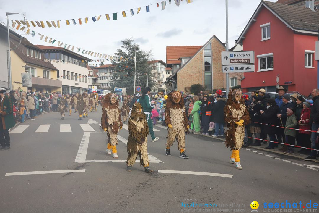 Narrenumzug: Markdorf am Bodensee, 11.02.2024