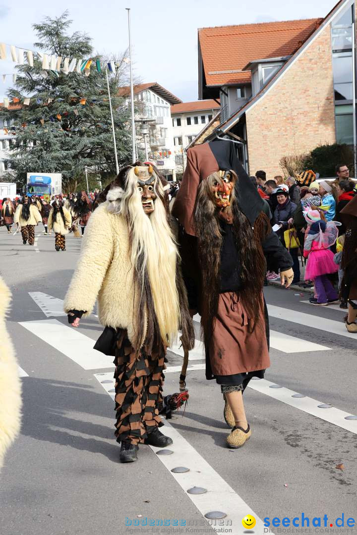 Narrenumzug: Markdorf am Bodensee, 11.02.2024