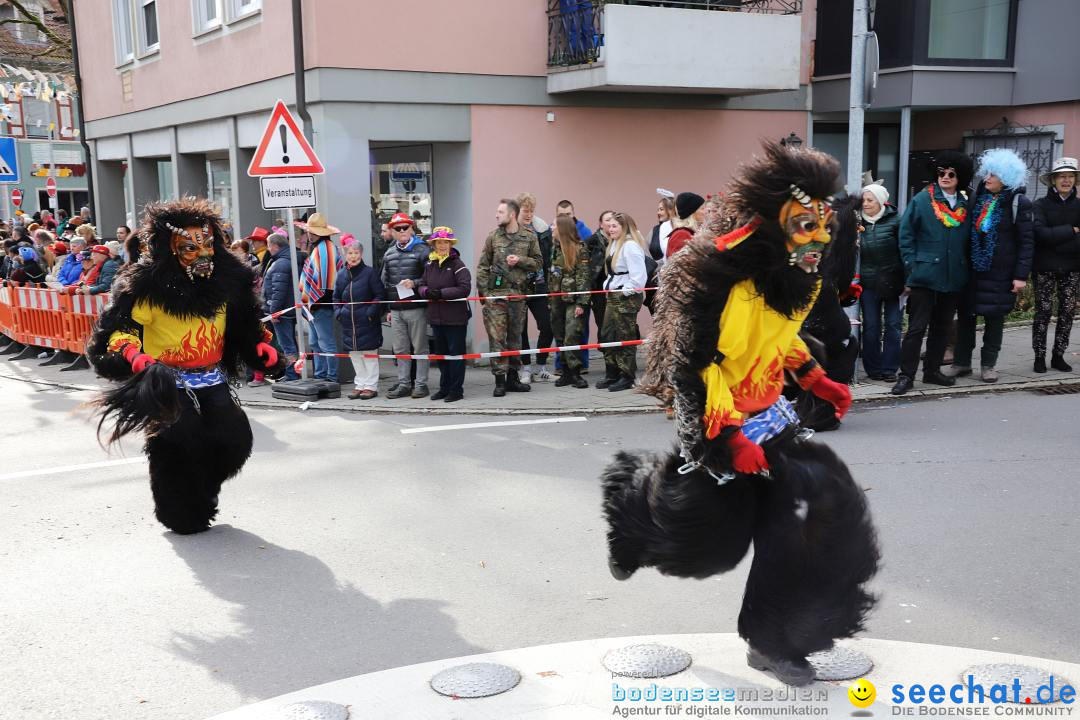 Narrenumzug: Markdorf am Bodensee, 11.02.2024