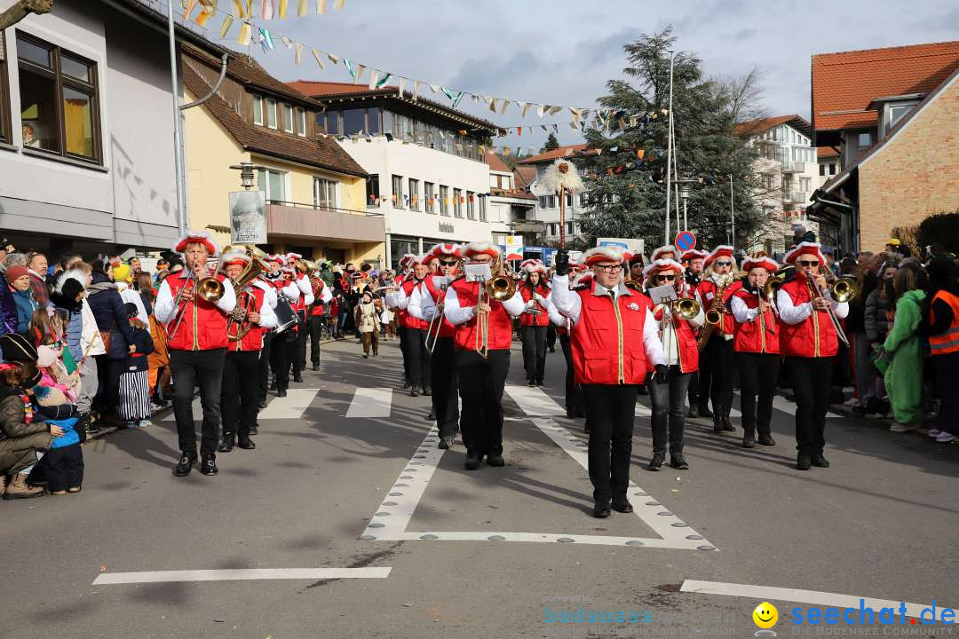 Narrenumzug: Markdorf am Bodensee, 11.02.2024