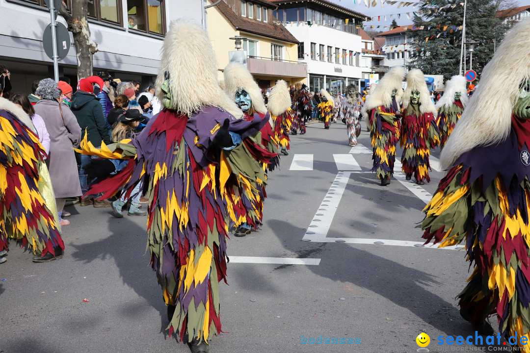 Narrenumzug: Markdorf am Bodensee, 11.02.2024