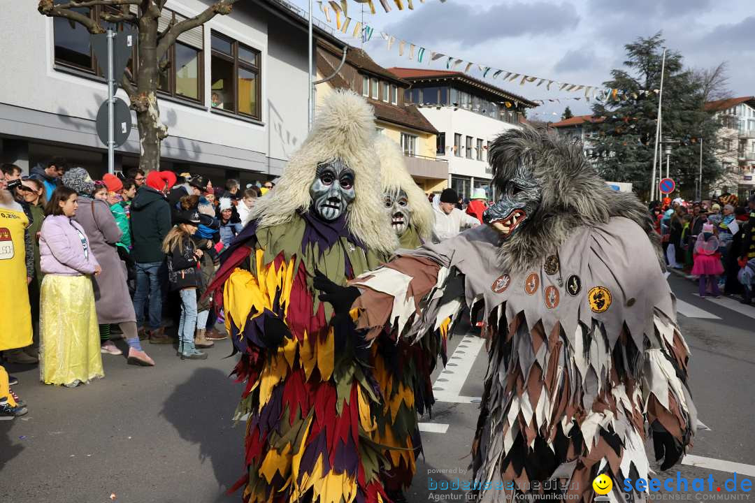 Narrenumzug: Markdorf am Bodensee, 11.02.2024