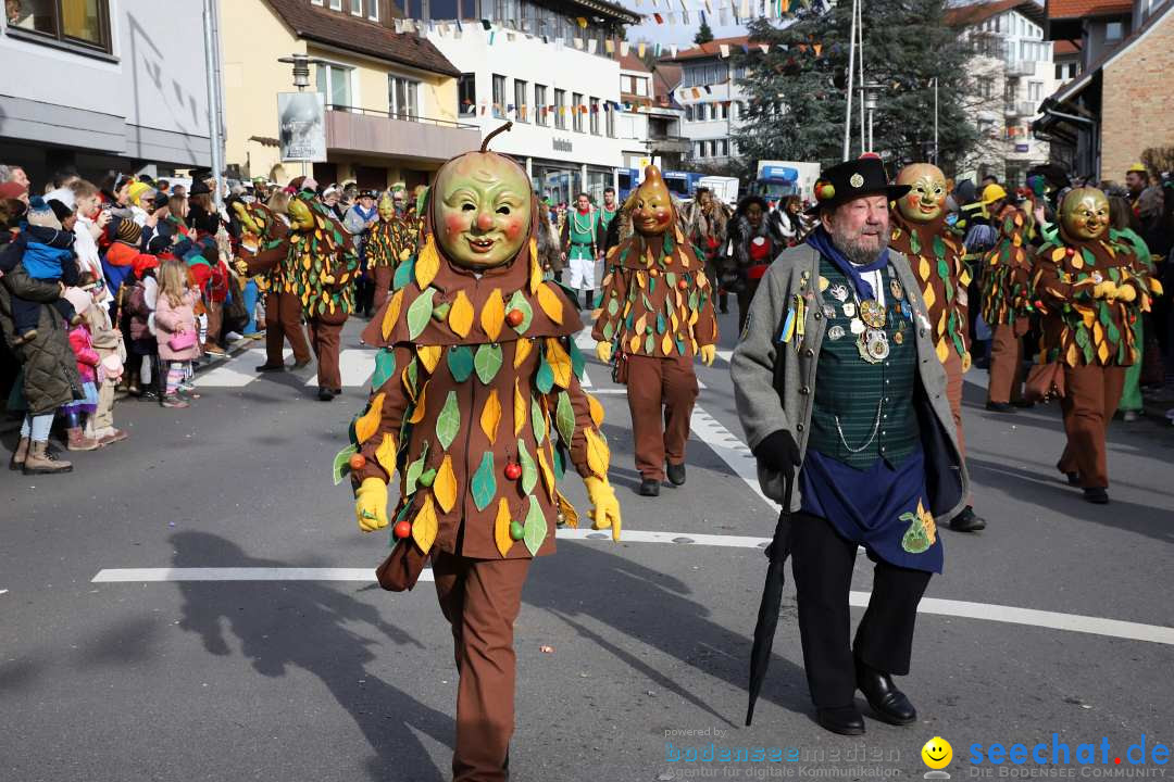 Narrenumzug: Markdorf am Bodensee, 11.02.2024