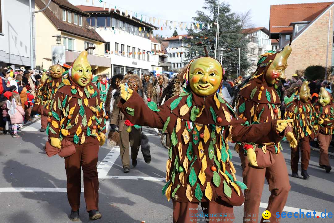 Narrenumzug: Markdorf am Bodensee, 11.02.2024