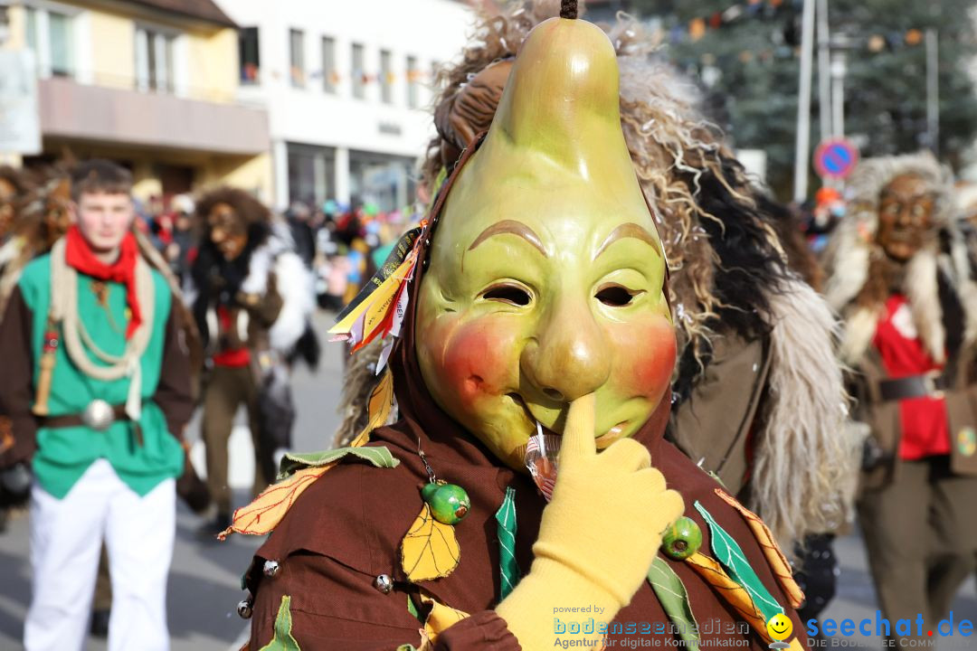 Narrenumzug: Markdorf am Bodensee, 11.02.2024