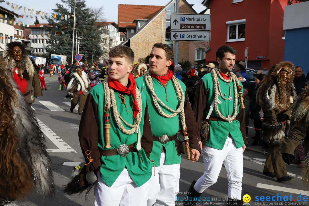 Narrenumzug: Markdorf am Bodensee, 11.02.2024