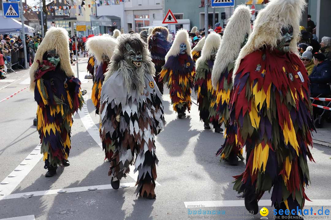 Narrenumzug: Markdorf am Bodensee, 11.02.2024