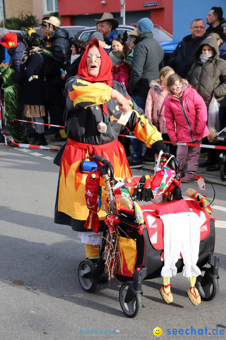 Narrenumzug: Markdorf am Bodensee, 11.02.2024