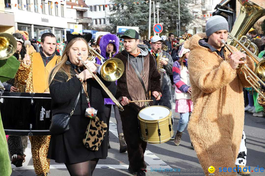 Narrenumzug: Markdorf am Bodensee, 11.02.2024