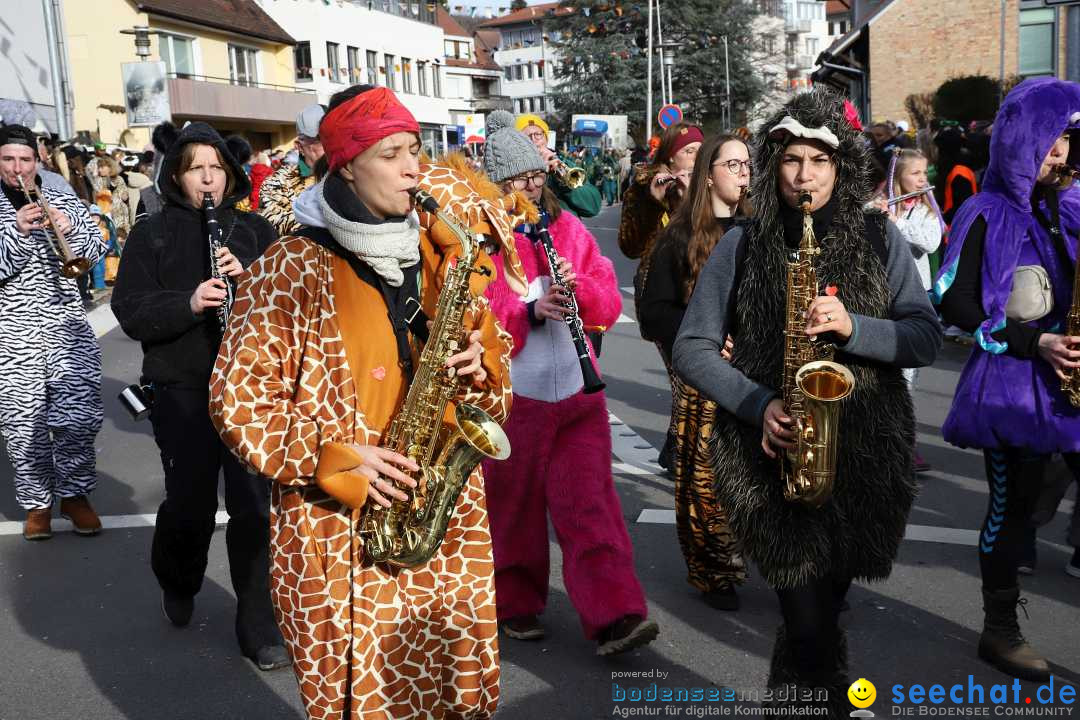 Narrenumzug: Markdorf am Bodensee, 11.02.2024