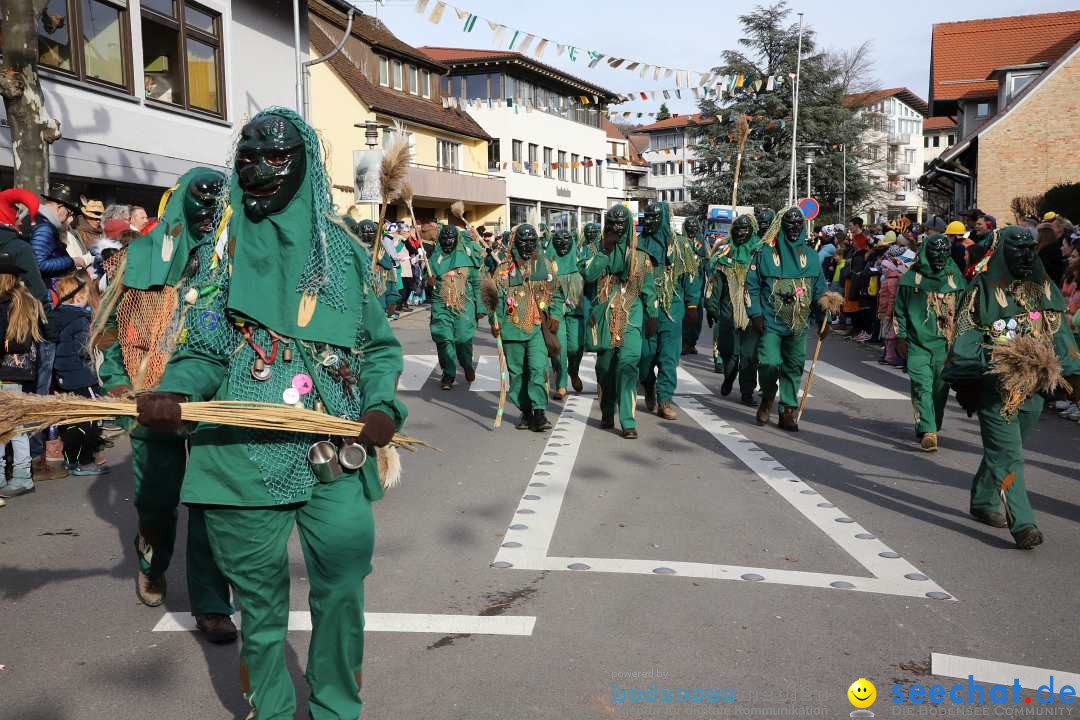 Narrenumzug: Markdorf am Bodensee, 11.02.2024