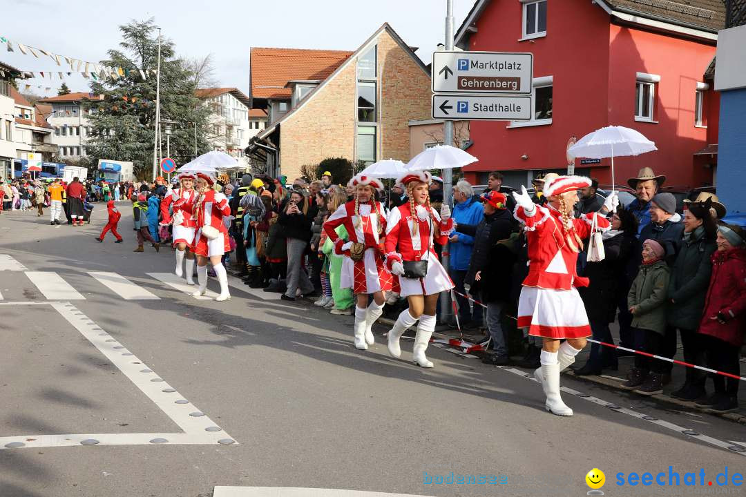 Narrenumzug: Markdorf am Bodensee, 11.02.2024