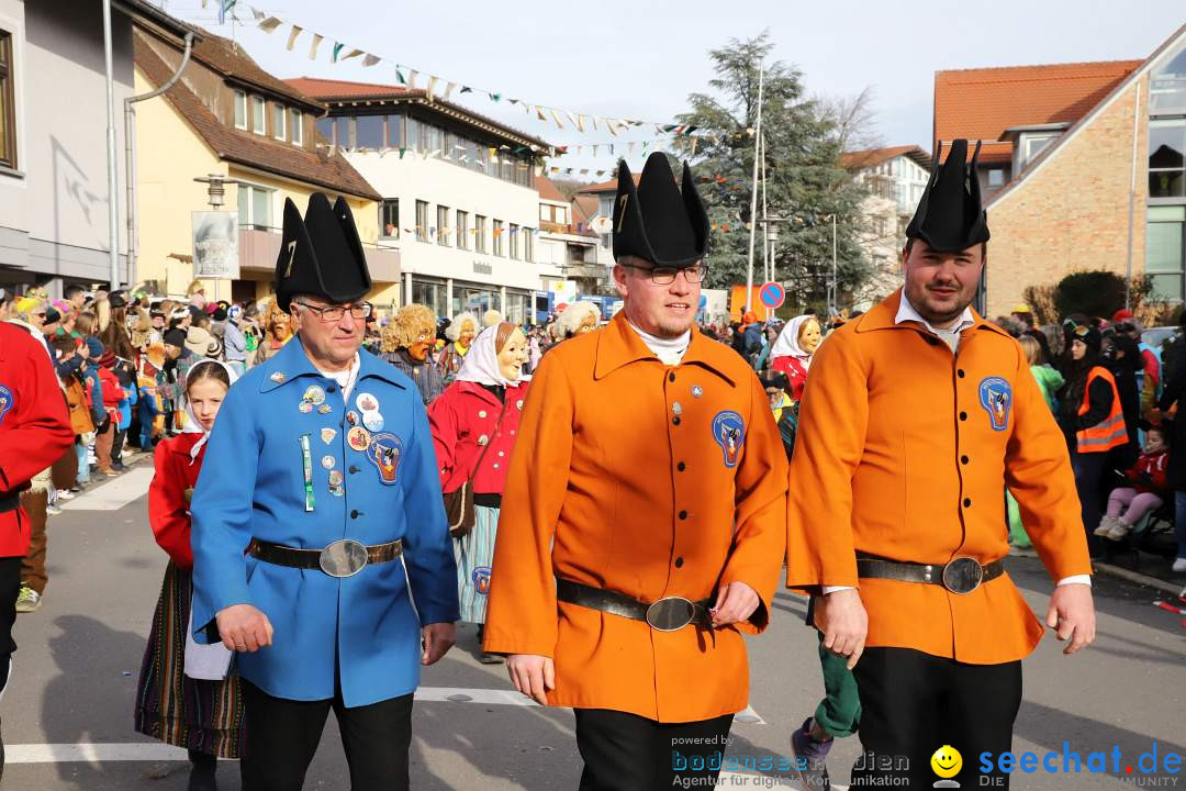 Narrenumzug: Markdorf am Bodensee, 11.02.2024