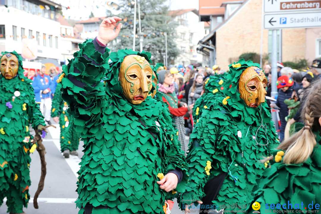 Narrenumzug: Markdorf am Bodensee, 11.02.2024