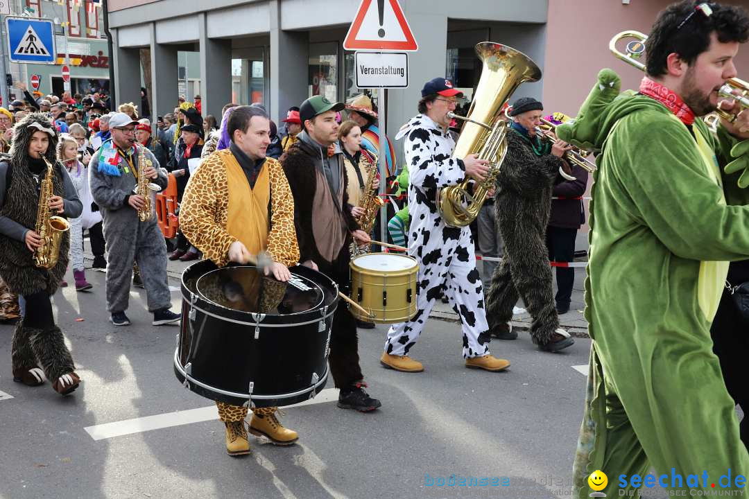 Narrenumzug: Markdorf am Bodensee, 11.02.2024