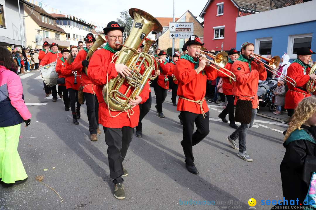 Narrenumzug: Markdorf am Bodensee, 11.02.2024