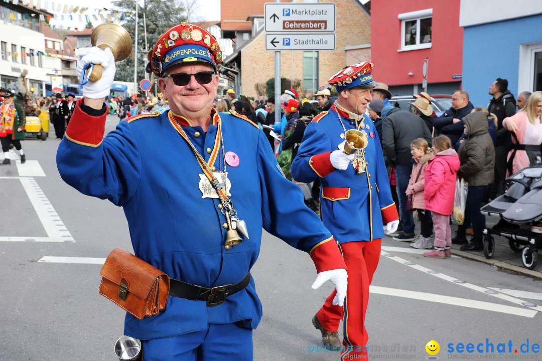 Narrenumzug: Markdorf am Bodensee, 11.02.2024