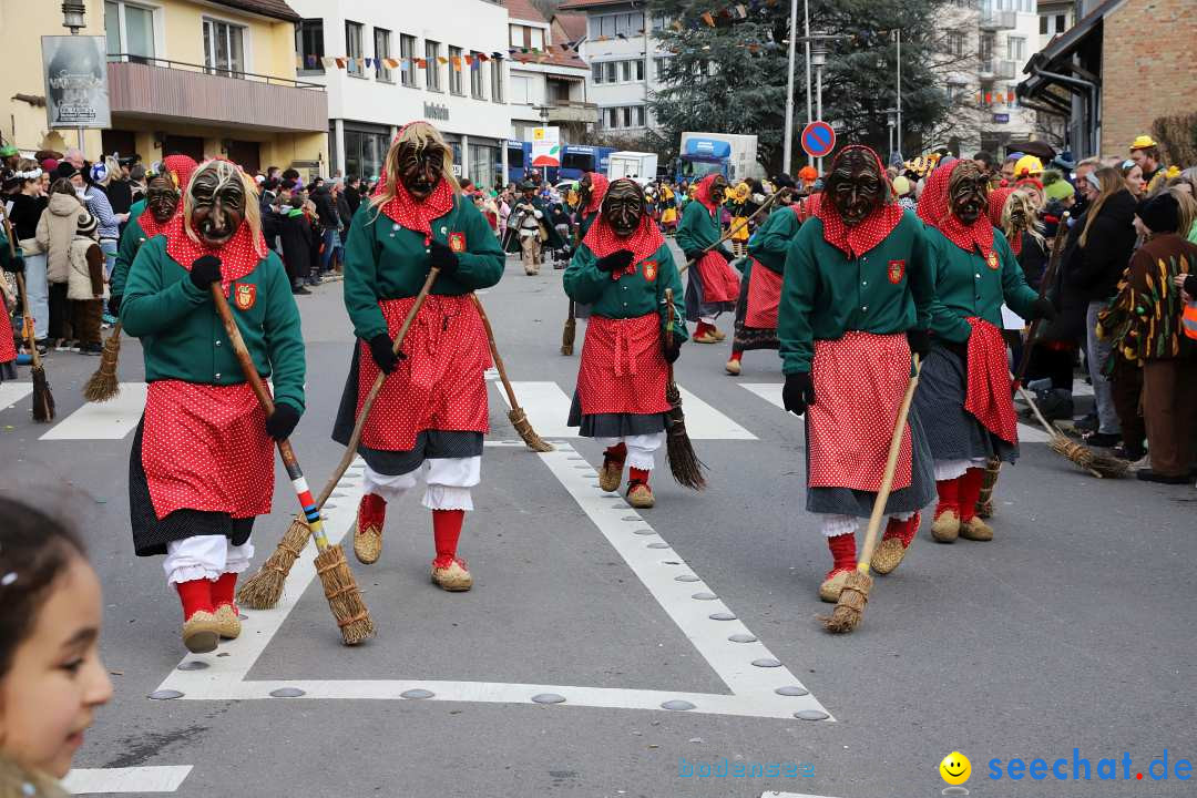 Narrenumzug: Markdorf am Bodensee, 11.02.2024