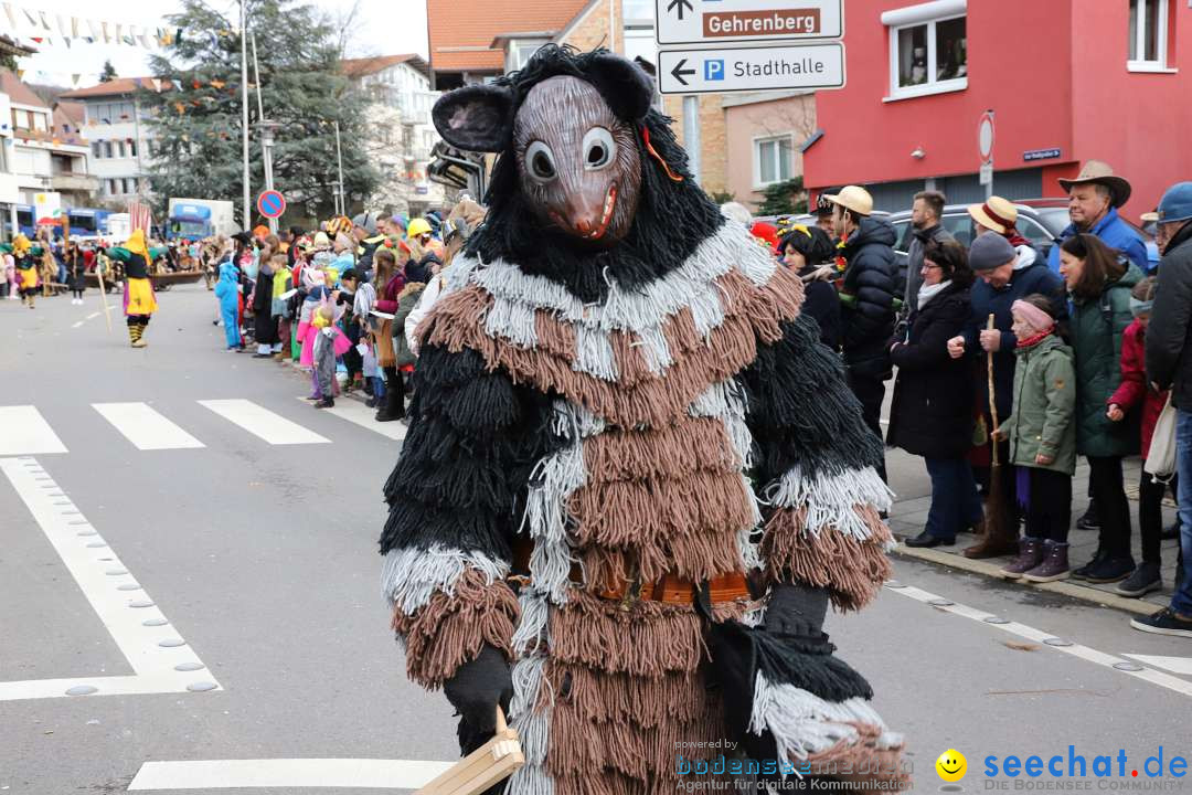 Narrenumzug: Markdorf am Bodensee, 11.02.2024