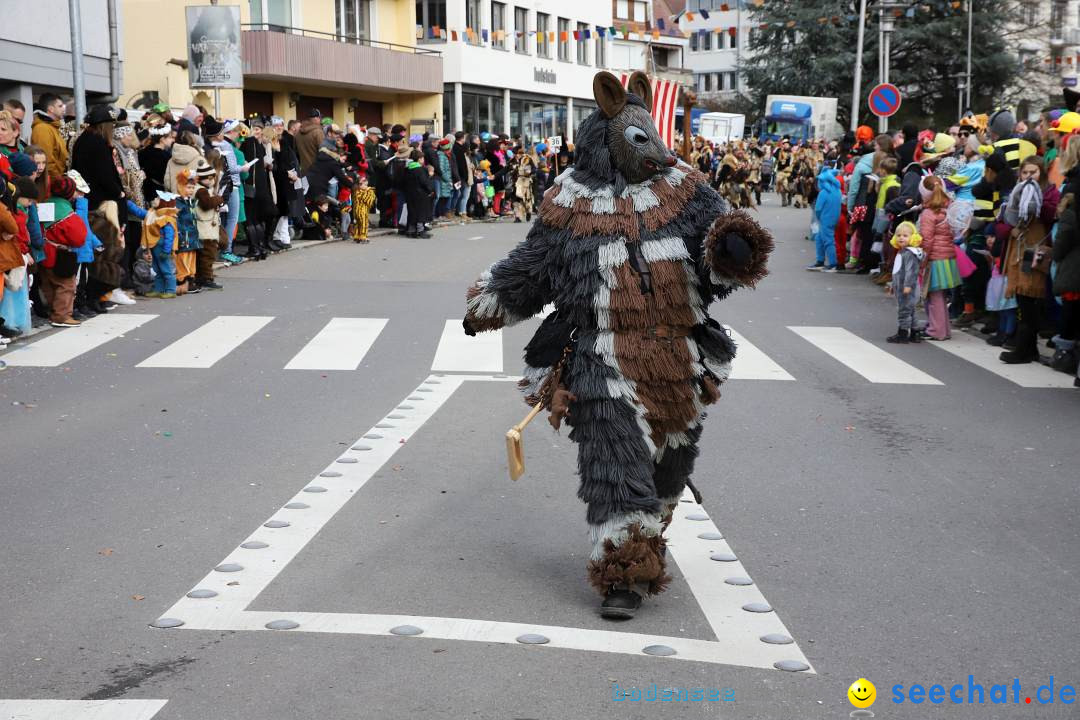 Narrenumzug: Markdorf am Bodensee, 11.02.2024