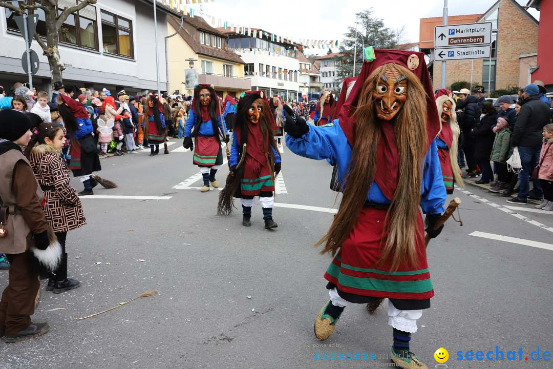 Narrenumzug: Markdorf am Bodensee, 11.02.2024