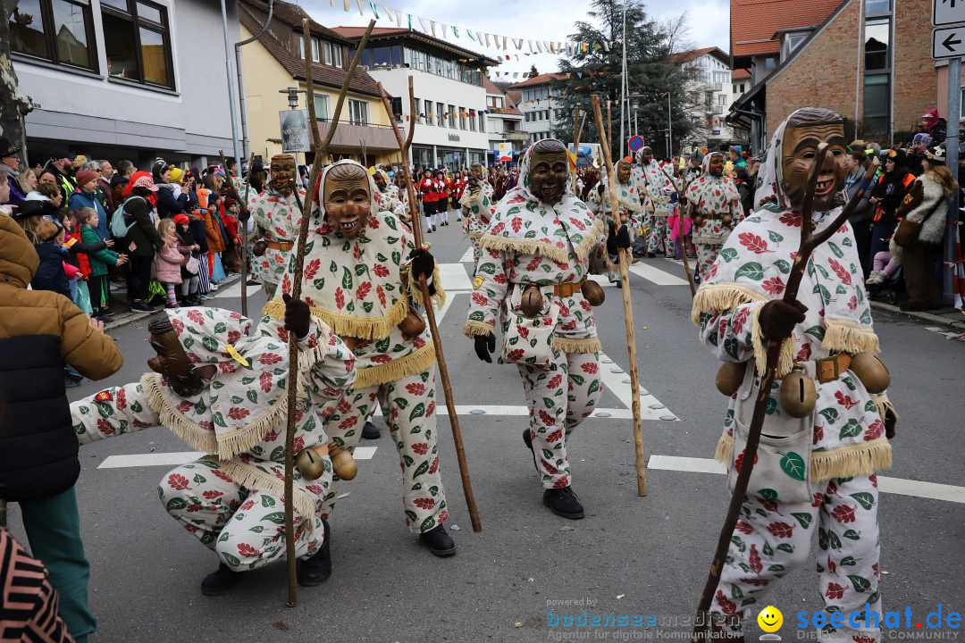 Narrenumzug: Markdorf am Bodensee, 11.02.2024