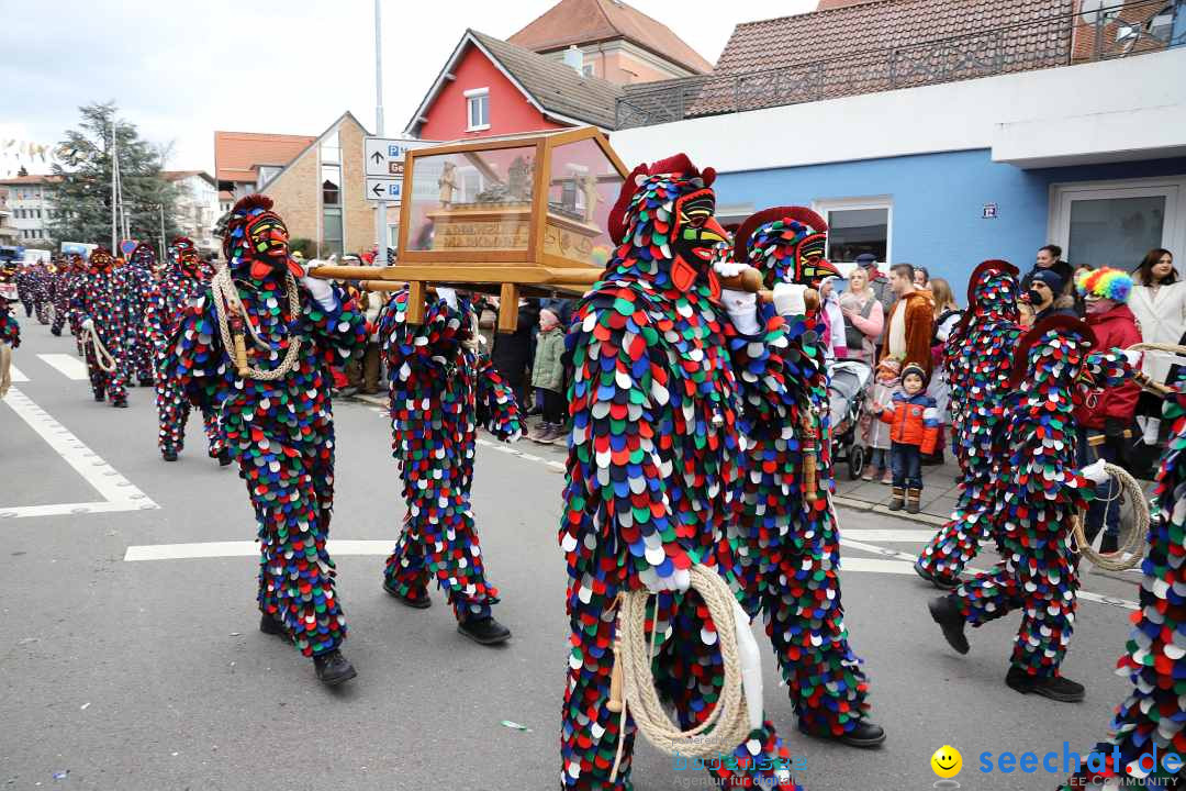 Narrenumzug: Markdorf am Bodensee, 11.02.2024