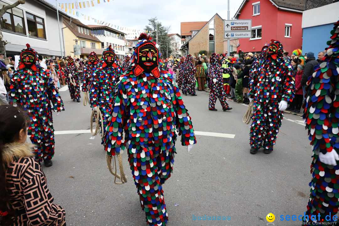 Narrenumzug: Markdorf am Bodensee, 11.02.2024