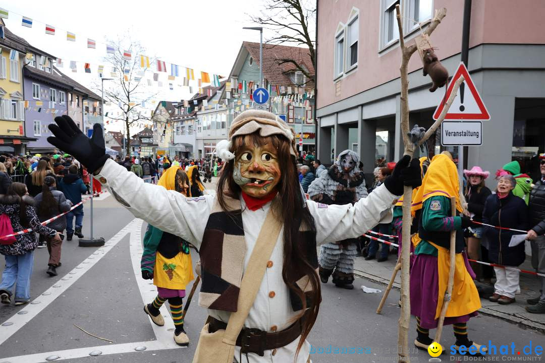 Narrenumzug: Markdorf am Bodensee, 11.02.2024