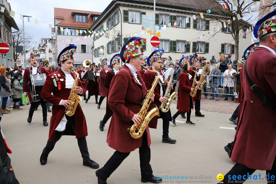 Narrenumzug: Markdorf am Bodensee, 11.02.2024