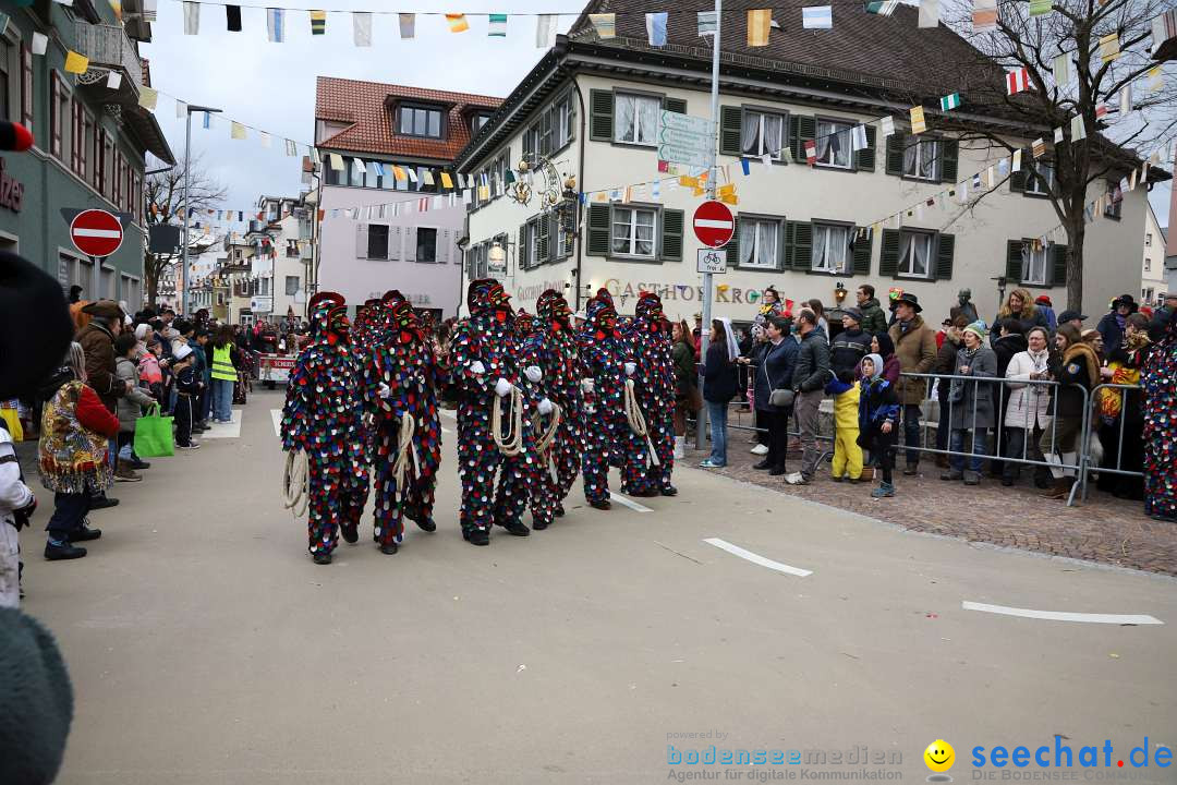 Narrenumzug: Markdorf am Bodensee, 11.02.2024