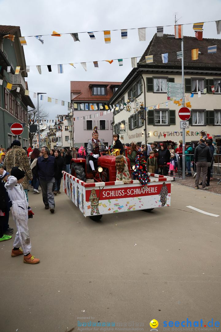 Narrenumzug: Markdorf am Bodensee, 11.02.2024