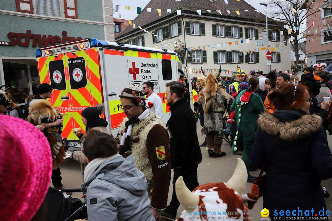 Narrenumzug: Markdorf am Bodensee, 11.02.2024