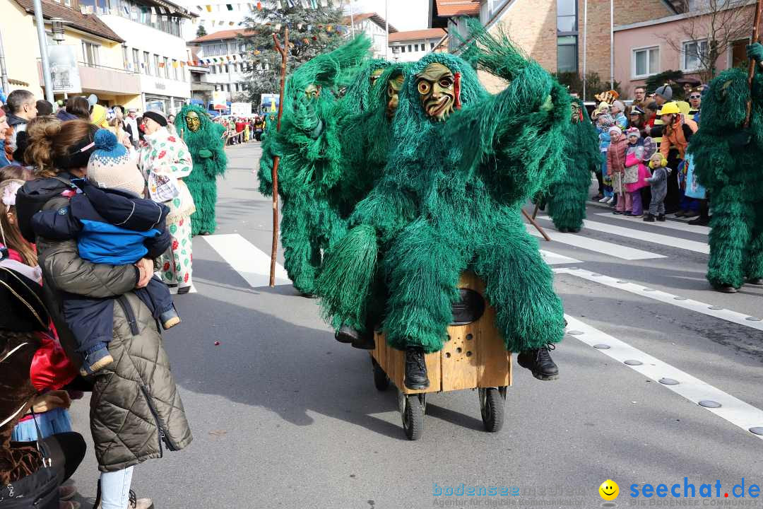 Narrenumzug: Markdorf am Bodensee, 11.02.2024