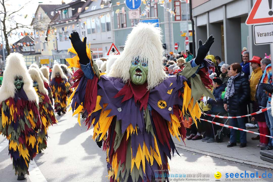 Narrenumzug: Markdorf am Bodensee, 11.02.2024