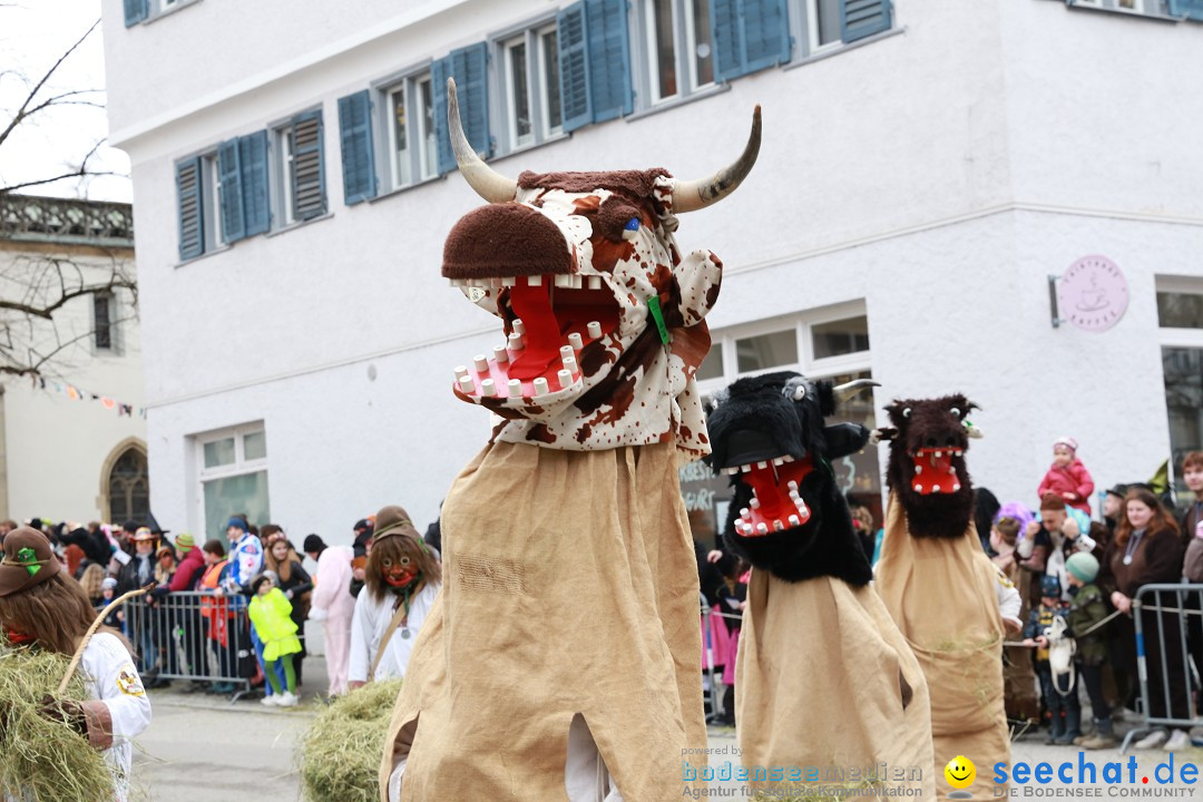 Rosenmontagsumzug - Narrensprung: Ravensburg, 12.02.2024