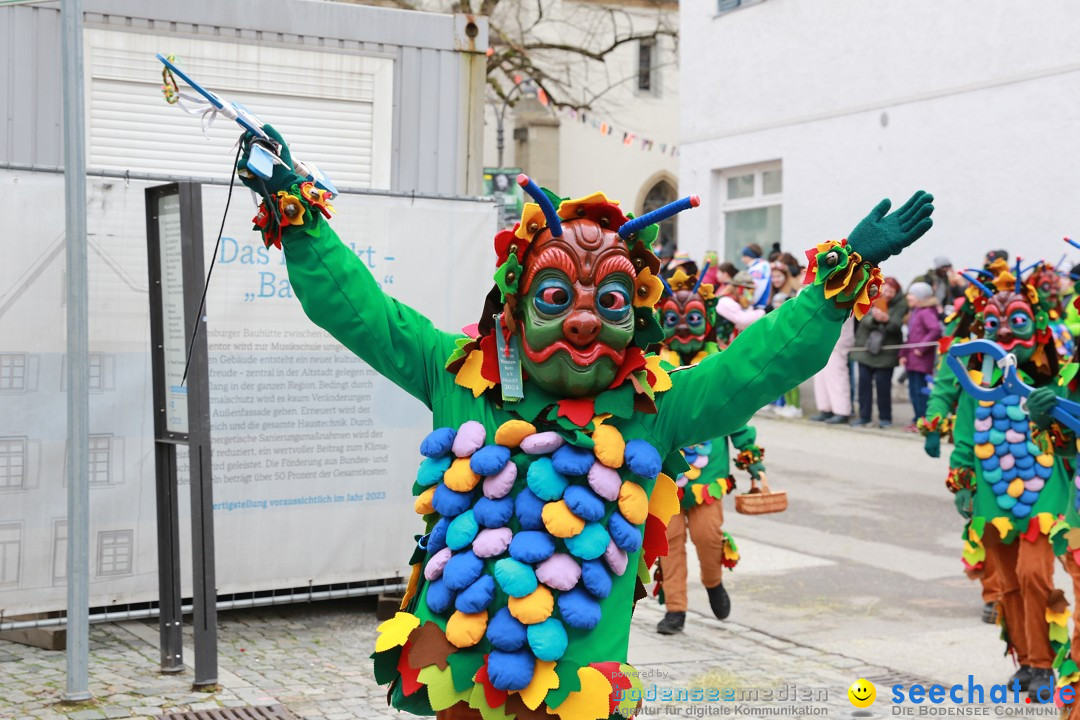 Rosenmontagsumzug - Narrensprung: Ravensburg, 12.02.2024