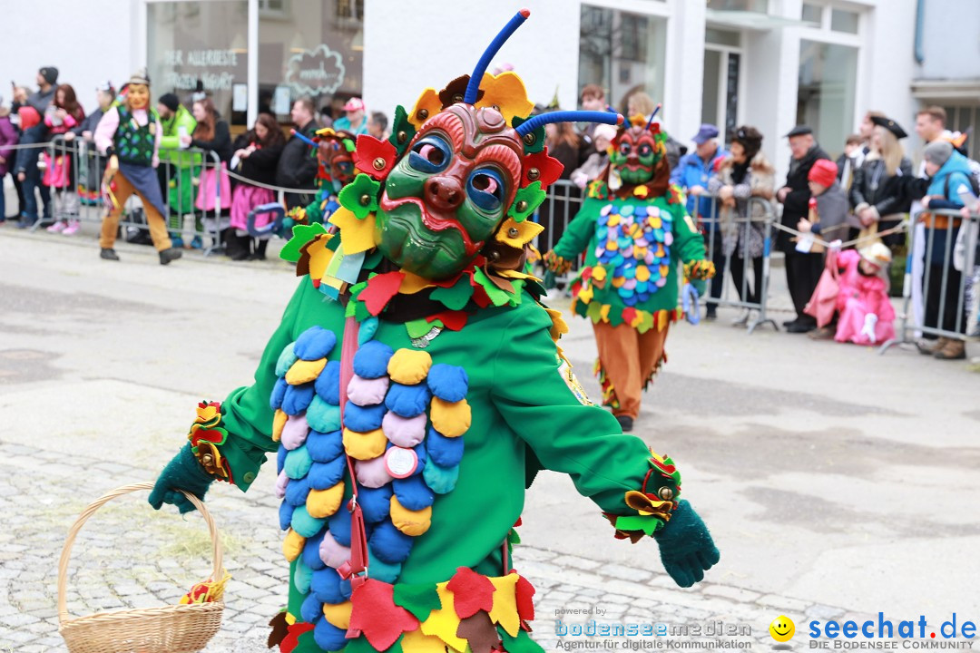 Rosenmontagsumzug - Narrensprung: Ravensburg, 12.02.2024