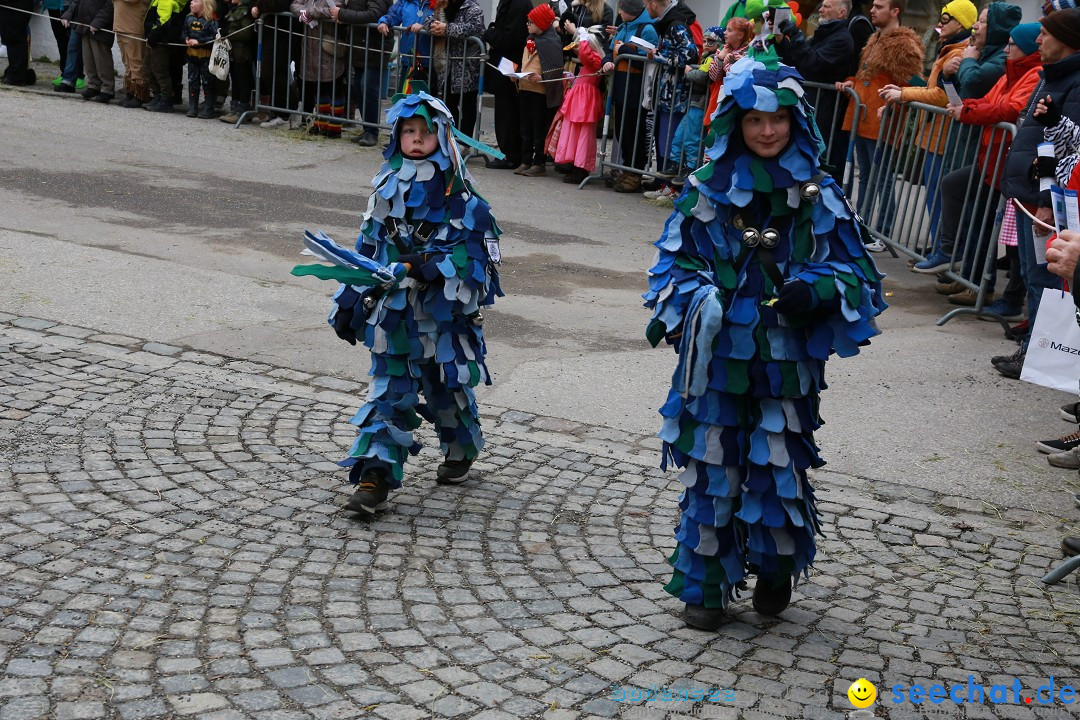 Rosenmontagsumzug - Narrensprung: Ravensburg, 12.02.2024