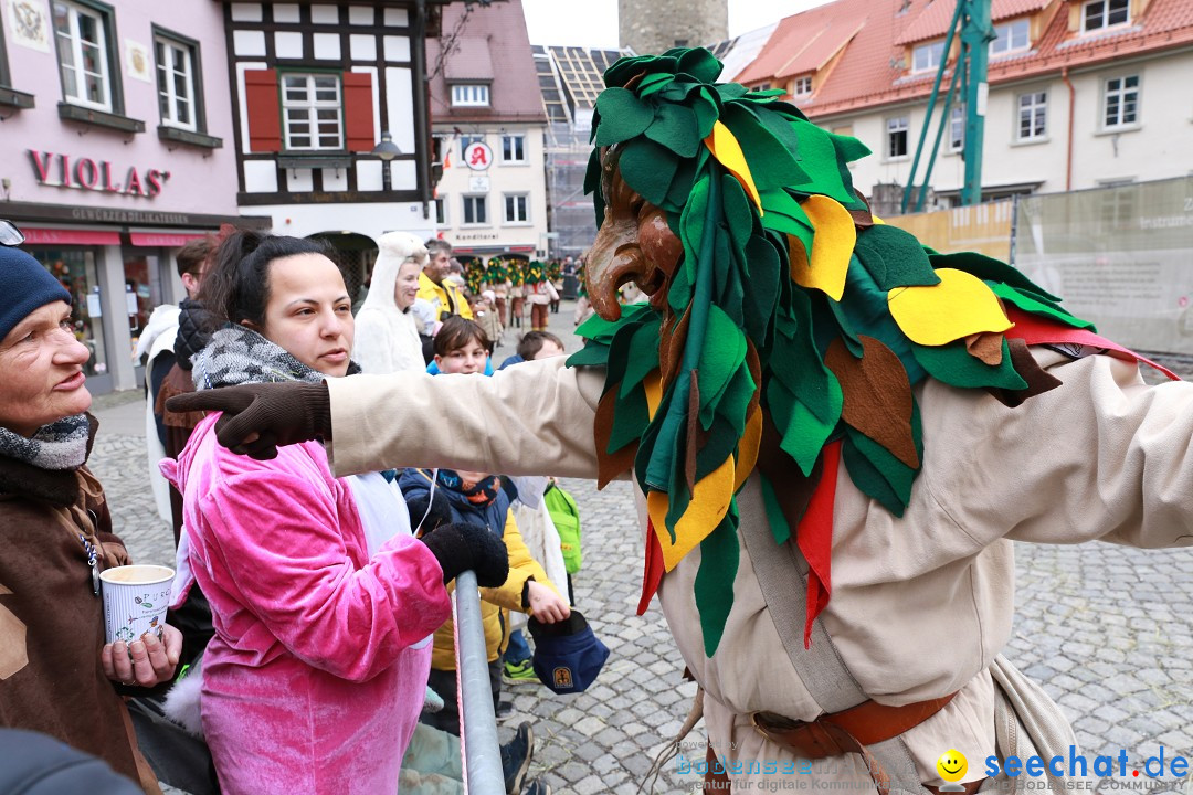 Rosenmontagsumzug - Narrensprung: Ravensburg, 12.02.2024