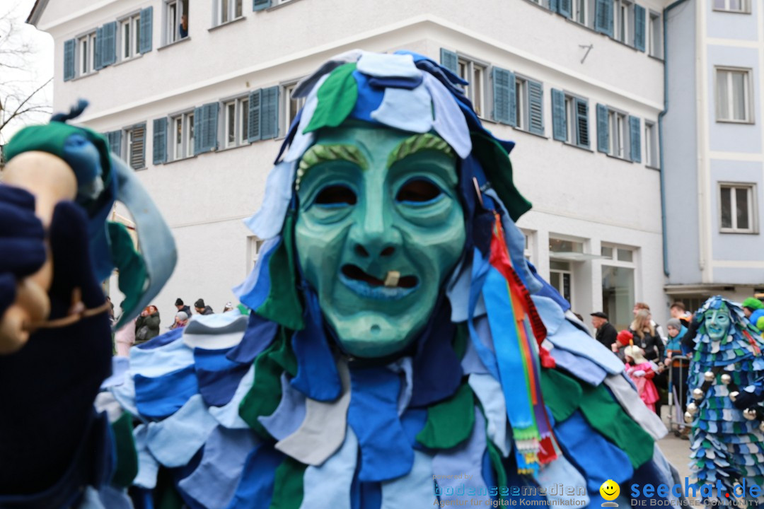 Rosenmontagsumzug - Narrensprung: Ravensburg, 12.02.2024