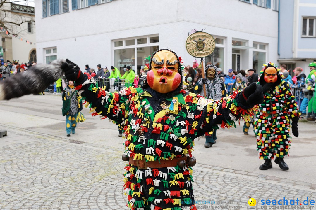 Rosenmontagsumzug - Narrensprung: Ravensburg, 12.02.2024