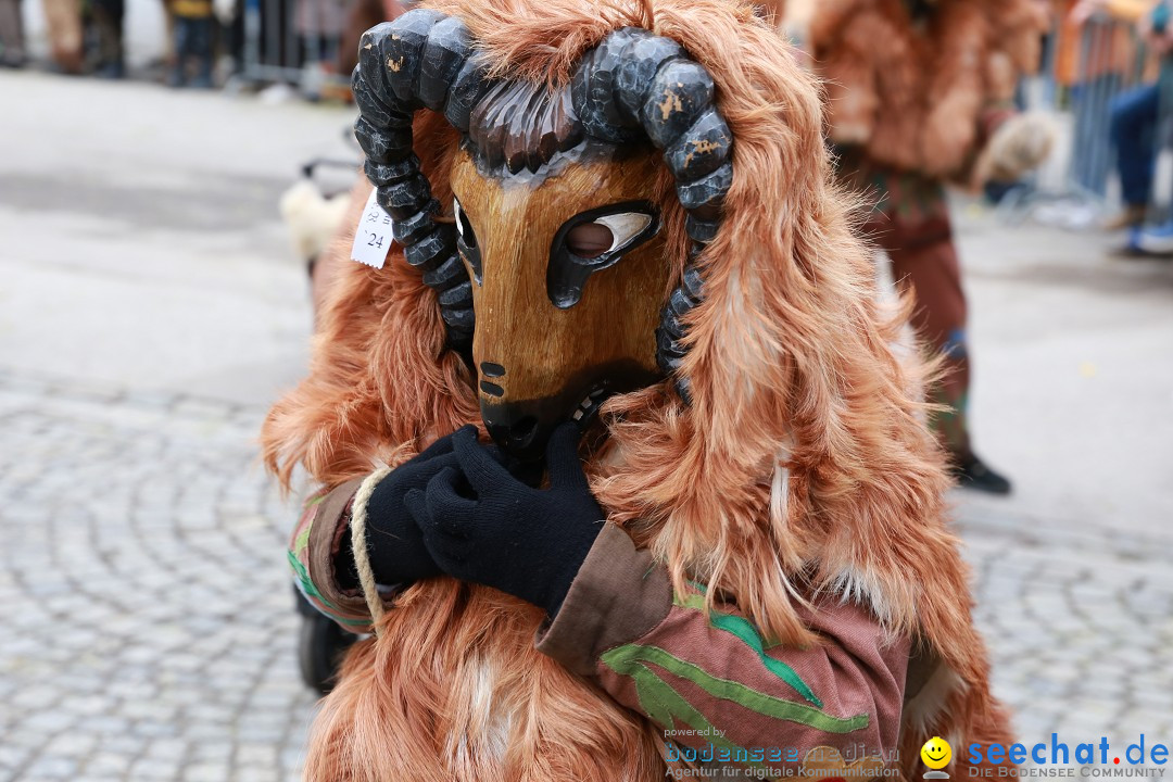 Rosenmontagsumzug - Narrensprung: Ravensburg, 12.02.2024