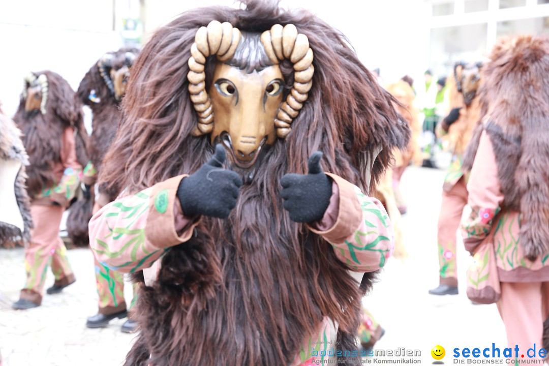 Rosenmontagsumzug - Narrensprung: Ravensburg, 12.02.2024