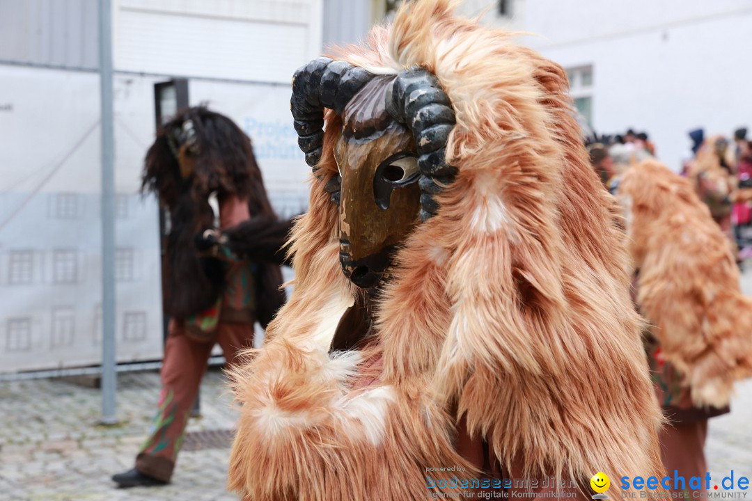 Rosenmontagsumzug - Narrensprung: Ravensburg, 12.02.2024