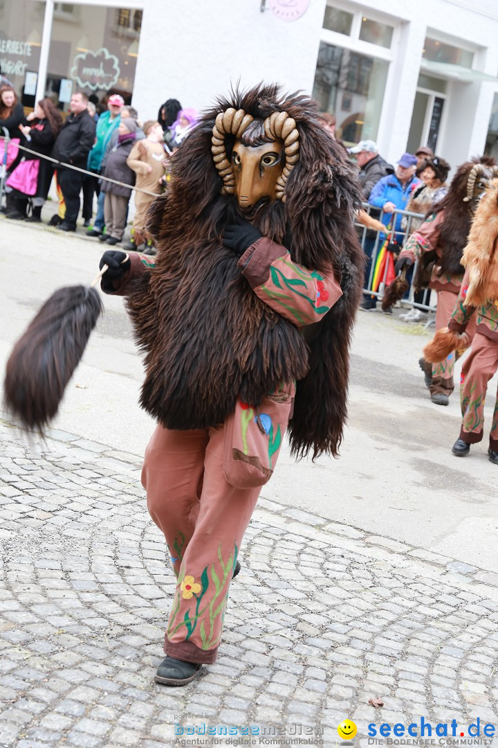 Rosenmontagsumzug - Narrensprung: Ravensburg, 12.02.2024