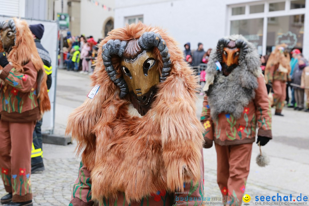 Rosenmontagsumzug - Narrensprung: Ravensburg, 12.02.2024