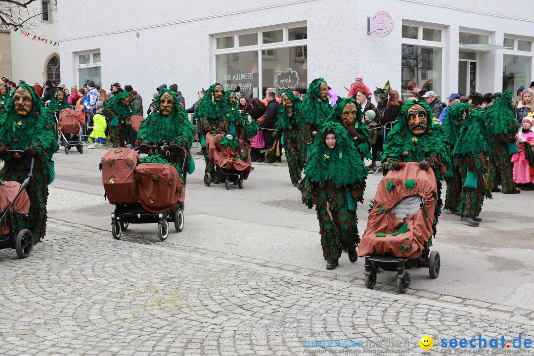 Rosenmontagsumzug - Narrensprung: Ravensburg, 12.02.2024